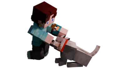 Лучшие администраторы